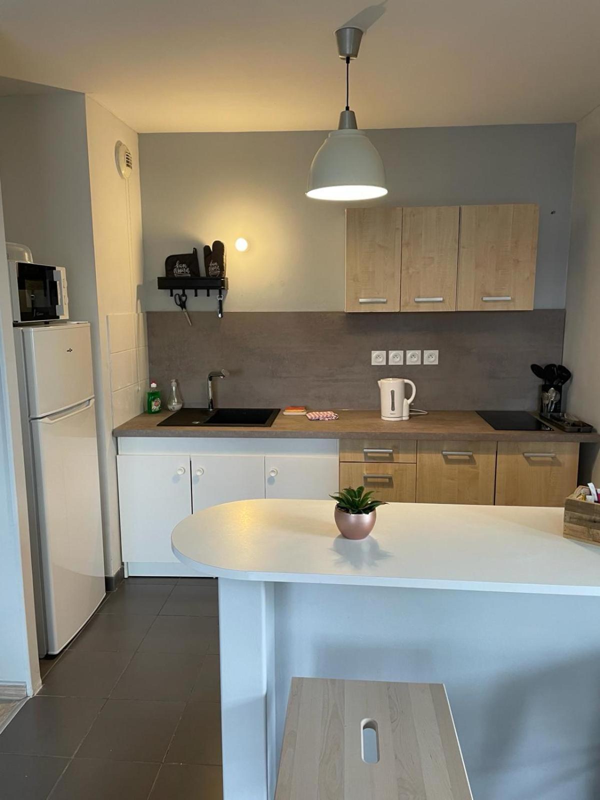 Appartement 2 Chambres Avec Terrasse Et Garage Saint-Andre-lez-Lille Exterior foto